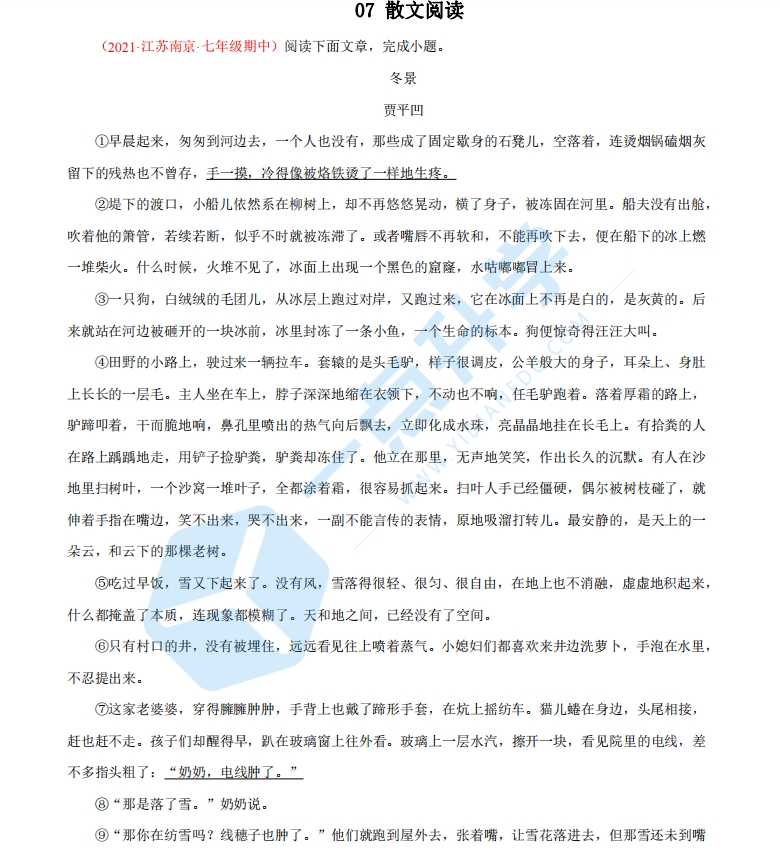 2022-2023学年七年级语文上学期期中专题复习07 散文阅读.