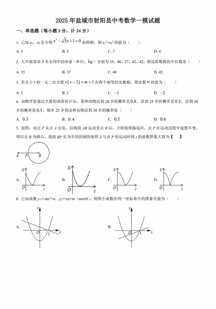 2025年盐城市射阳县中考数学一模试题（含解析）